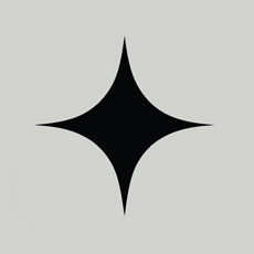 Algo AI